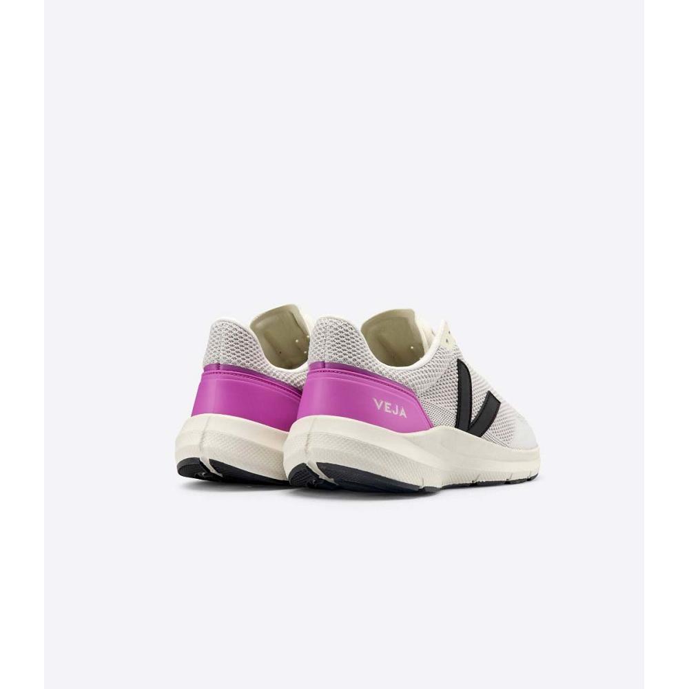 Veja MARLIN V-KNIT Hardloopschoenen Heren Beige/Purple | NL 143MQZ